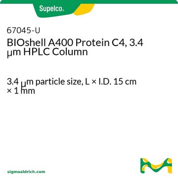 BIOshell A400 Protein C4, 3.4 &#956;m HPLC Column 3.4&#160;&#956;m particle size, L × I.D. 15&#160;cm × 1&#160;mm