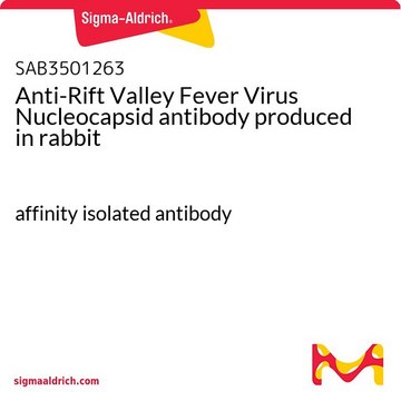 Anti-Rift Valley Fever Virus Nucleocapsid antibody produced in rabbit affinity isolated antibody