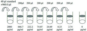 Mouse IL-1 &#946; ELISA Kit for serum, plasma and cell culture supernatant