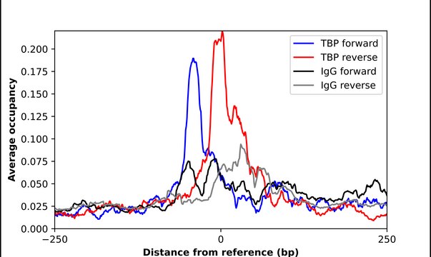 Anti-TBP antibody produced in rabbit Prestige Antibodies&#174; Powered by Atlas Antibodies, affinity isolated antibody, buffered aqueous glycerol solution
