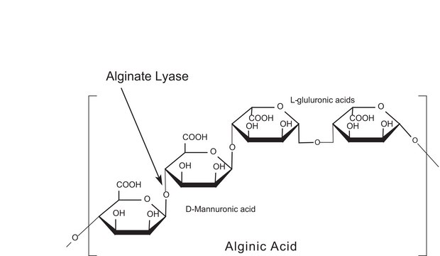 Alginate Lyase powder, &#8805;10,000&#160;units/g solid