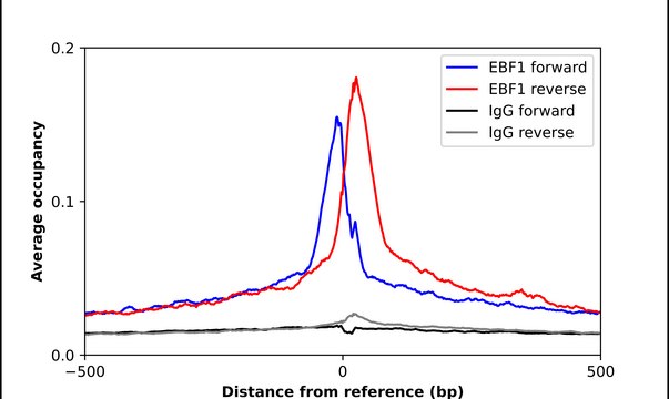 Anti-EBF1 antibody produced in rabbit Prestige Antibodies&#174; Powered by Atlas Antibodies, affinity isolated antibody