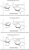 Chondroitinase&#160;ABC from Proteus vulgaris lyophilized powder, 0.3-3&#160;units/mg solid