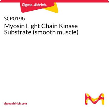 Myosin Light Chain Kinase Substrate (smooth muscle)