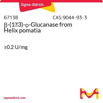 &#946;-(1&#8594;3)-D-Glucanase from Helix pomatia &#8805;0.2&#160;U/mg