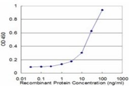 Monoclonal Anti-RBP3 antibody produced in mouse clone 4F3, purified immunoglobulin, buffered aqueous solution