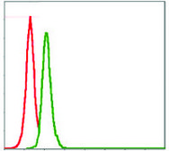 Monoclonal Anti-SRC antibody produced in mouse clone 1F11, ascites fluid