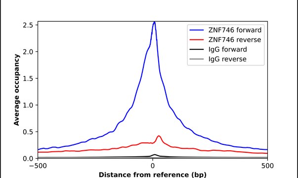 Anti-ZNF746 antibody produced in rabbit Prestige Antibodies&#174; Powered by Atlas Antibodies, affinity isolated antibody, buffered aqueous glycerol solution