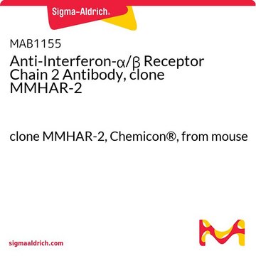 Anti-Interferon-&#945;/&#946; Receptor Chain 2 Antibody, clone MMHAR-2 clone MMHAR-2, Chemicon&#174;, from mouse