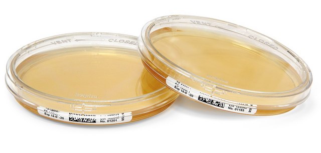 Tryptic Soy Agar - Ready-to-use Settle Plates ICR with lockable lid, plate volume × diam. 30&#160;mL × 90&#160;mm, sterile; &#947;-irradiated, pkg of 10&#160;plates Triple packed, suitable for air monitoring