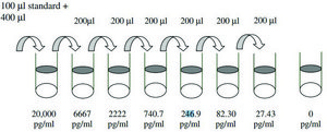 Mouse MMP-2 ELISA Kit for serum, plasma and cell culture supernatant