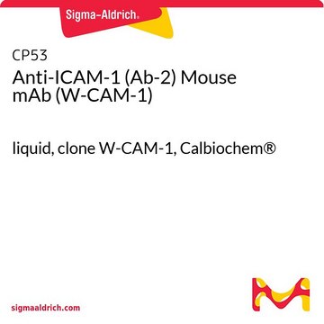 Anti-ICAM-1 (Ab-2) Mouse mAb (W-CAM-1) liquid, clone W-CAM-1, Calbiochem&#174;