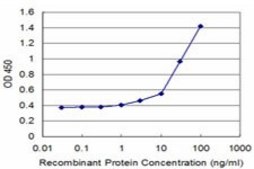 Monoclonal Anti-ATP1B2 antibody produced in mouse clone 4E3, purified immunoglobulin, buffered aqueous solution