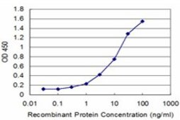 Monoclonal Anti-TCAP antibody produced in mouse clone 1H3, purified immunoglobulin, buffered aqueous solution