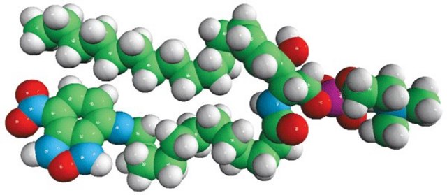 C12-NBD Sphingomyelin Avanti Research&#8482; - A Croda Brand 810219P, powder