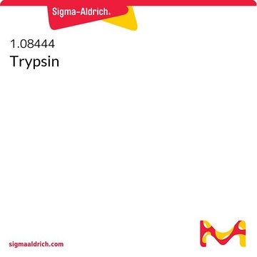 Trypsin