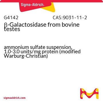 &#946;-Galactosidase from bovine testes ammonium sulfate suspension, 1.0-3.0&#160;units/mg protein (modified Warburg-Christian)