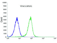 Anti-VPAC2 antibody, Rabbit monoclonal recombinant, expressed in proprietary host, clone SP235, affinity isolated antibody