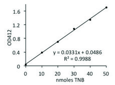Lipase Activity Assay Kit II sufficient for 100&#160;colorimetric&nbsp;tests (with&nbsp;TNB&nbsp;standard)
