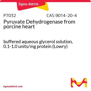 Pyruvate Dehydrogenase from porcine heart buffered aqueous glycerol solution, 0.1-1.0&#160;units/mg protein (Lowry)