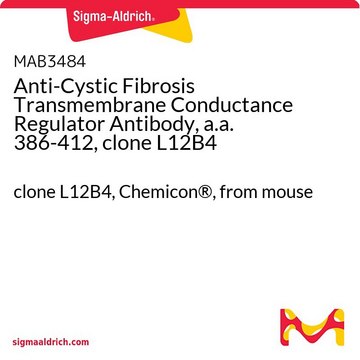 Anti-Cystic Fibrosis Transmembrane Conductance Regulator Antibody, a.a. 386-412, clone L12B4 clone L12B4, Chemicon&#174;, from mouse