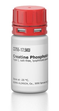 Creatine Phosphokinase from rabbit muscle Type I, salt-free, lyophilized powder, &#8805;150&#160;units/mg protein