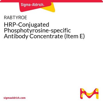 HRP-Conjugated Phosphotyrosine-specific Antibody Concentrate (Item E)