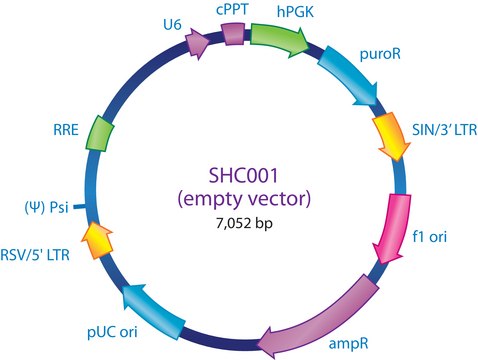 MISSION&#174; pLKO.1-puro Empty Vector Control Plasmid DNA Contains no shRNA insert