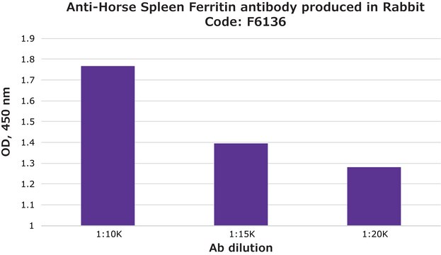 Anti-Horse Spleen Ferritin antibody produced in rabbit affinity isolated antibody, lyophilized powder