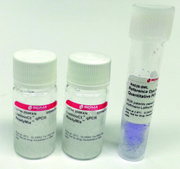 LuminoCt&#174; qPCR ReadyMix&#8482; For fast probe-based quantitative PCR