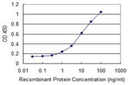 Monoclonal Anti-ZNF435 antibody produced in mouse clone 4A9, purified immunoglobulin, buffered aqueous solution