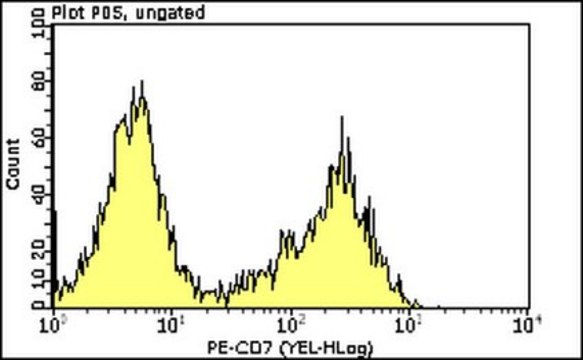 Milli-Mark Anti-CD7-PE Antibody, clone CBC.37 clone CBC.37, Milli-Mark&#174;, from mouse