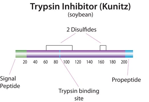 Trypsin inhibitor from Glycine max (soybean) powder, BioReagent, suitable for cell culture