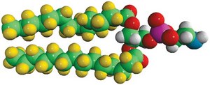 14:0 PE-d54 Avanti Research&#8482; - A Croda Brand 860371P, powder
