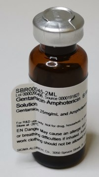 Gentamicin-Amphotericin B Ready Made Solution Gentamicin 25mg/mL and Amphotericin B 125&#181;g/mL