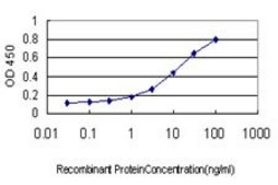 Monoclonal Anti-TDP1 antibody produced in mouse clone 2A10-G2, purified immunoglobulin, buffered aqueous solution