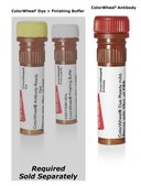 Anti-Mouse TER-119/Ly-76 (TER-119) ColorWheel&#174; Dye-Ready mAb for use with ColorWheel&#174; Dyes (Required, (Sold Separately))