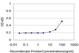 Monoclonal Anti-CAMK2D antibody produced in mouse clone 1B11, purified immunoglobulin, buffered aqueous solution