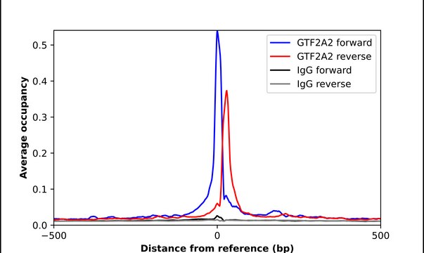 Anti-GTF2A2 antibody produced in rabbit Prestige Antibodies&#174; Powered by Atlas Antibodies, affinity isolated antibody