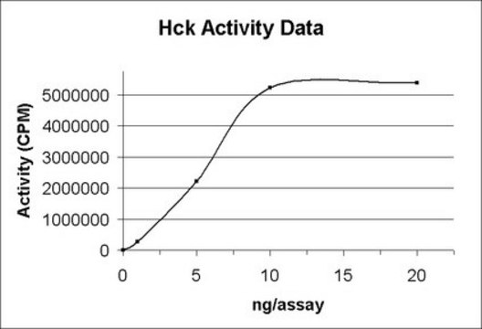 Hck Protein, active, 10 &#181;g Active, N-terminal His6-tagged, recombinant, human Hck, amino acids 230-497, for use in Kinase Assays.