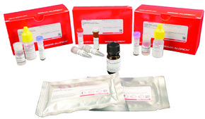 Duolink&#174; In Situ Red Starter Kit Mouse/Rabbit