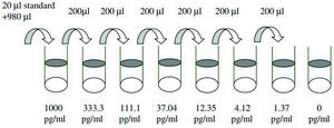 Human BLC / BCA-1 / CXCL13 ELISA Kit for serum, plasma, cell culture supernatant and urine