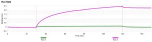 Anti-Osteocalcin Antibody, clone 2J18 ZooMAb&#174; Rabbit Monoclonal recombinant, expressed in HEK 293 cells