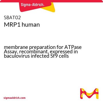 MRP1 human membrane preparation for ATPase Assay, recombinant, expressed in baculovirus infected Sf9 cells