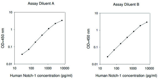 Human Notch-1 ELISA Kit for serum, plasma, cell culture supernatants and urine