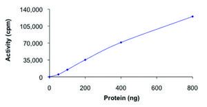 ERK5, active, GST tagged human PRECISIO&#174; Kinase, recombinant, expressed in baculovirus infected Sf9 cells, &#8805;70% (SDS-PAGE), buffered aqueous glycerol solution