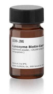 Lysozyme Biotin-Caproyl lyophilized powder, &gt;20,000&#160;U/mg (Activity of lysozyme used for congugation.)