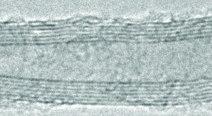 Carbon nanotube, multi-walled &gt;98% carbon basis, O.D. × L 6-13&#160;nm × 2.5-20&#160;&#956;m