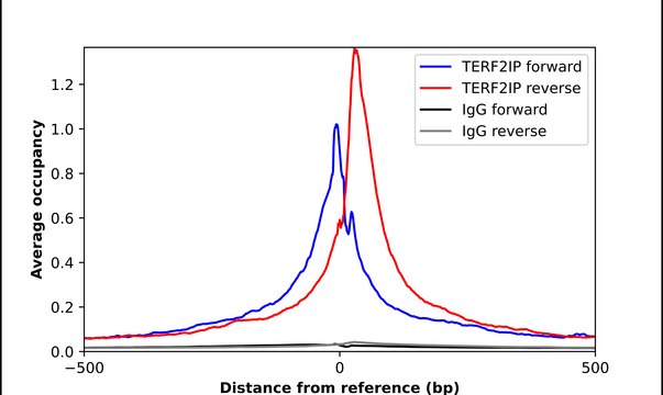 Anti-TERF2IP antibody produced in rabbit Prestige Antibodies&#174; Powered by Atlas Antibodies, affinity isolated antibody, buffered aqueous glycerol solution