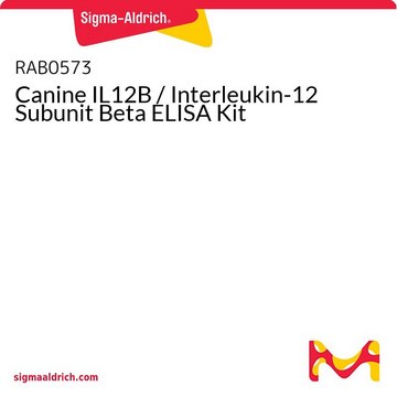 Canine IL12B / Interleukin-12 Subunit Beta ELISA Kit